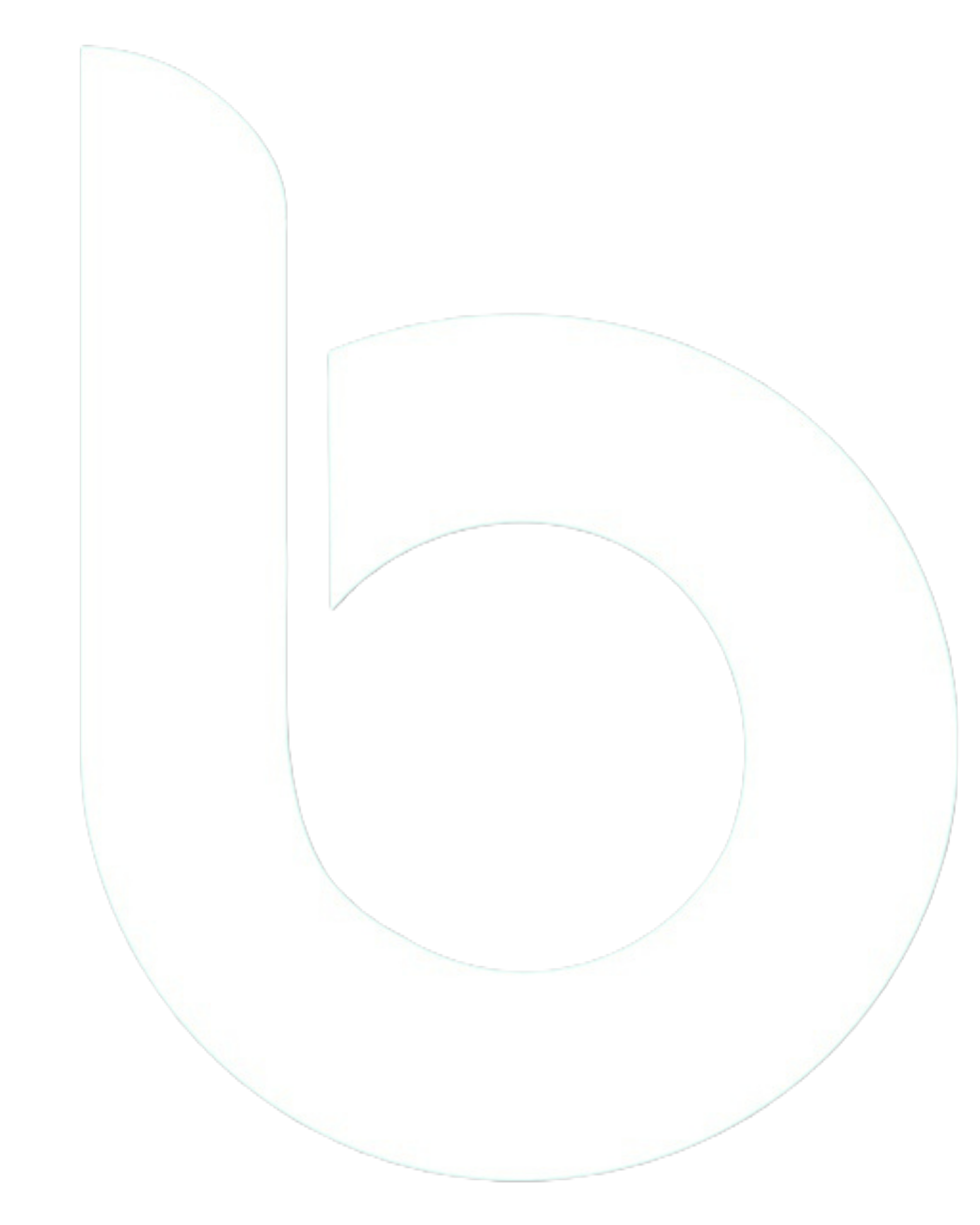 Premium Website Development